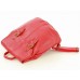 Рюкзак Glad Bags PL57F Red